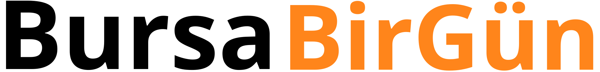 Bursa Bir Güne